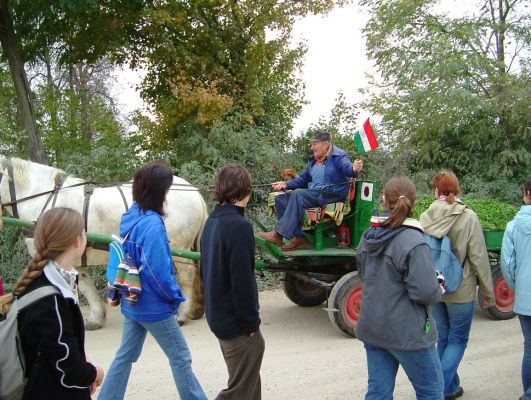 A teljes méretű képhez kattints ide